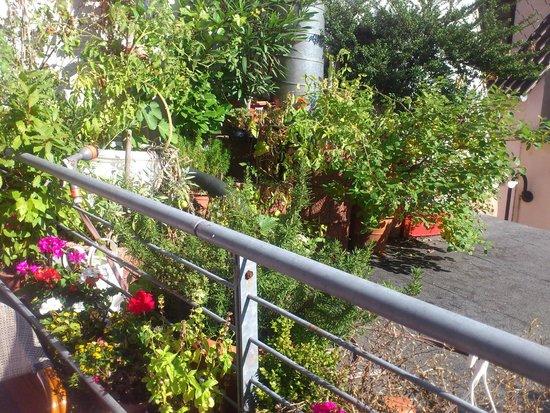 La Trattoria da Pepe